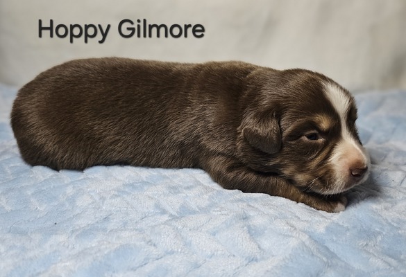 Hoppy Gilmore