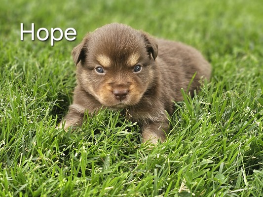 Hope