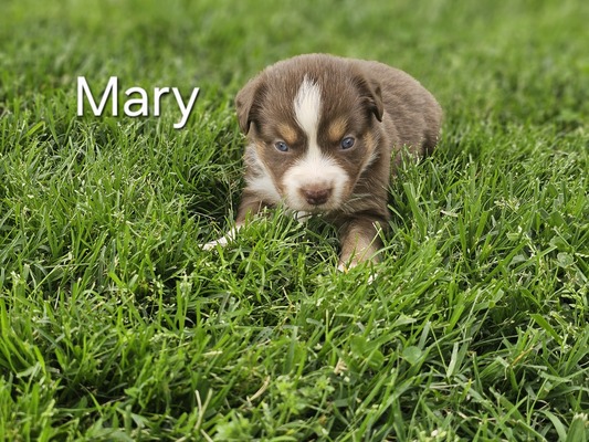 Mary
