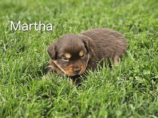 Martha