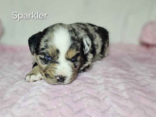 Sparkler