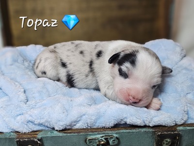 Topaz